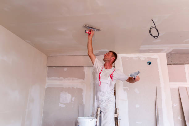 Best Water-Damaged Drywall Repair  in Pearl River, LA